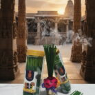 Scan document2026-01-24 17-03-50-images-16