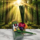 Scan document2026-01-24 17-11-52-images-2